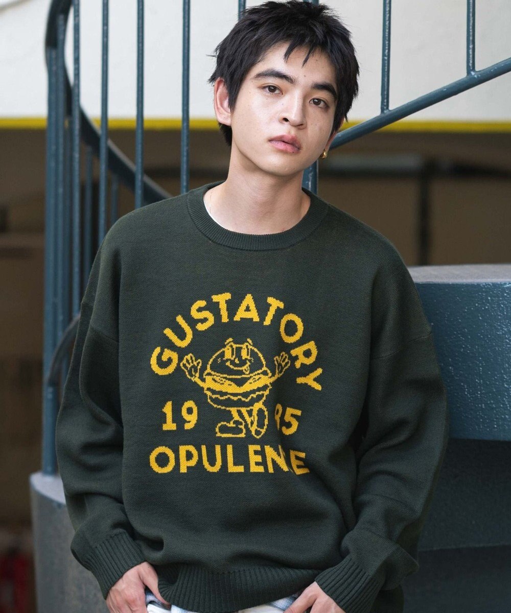 WEGO 【ユニセックス着用ITEM/SMLサイズ展開】ジャガードグラフィックプルオーバー 