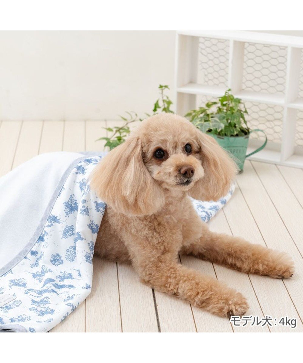 PET PARADISE ペットパラダイス クールケット 《トワルドジュイ》 小型犬 