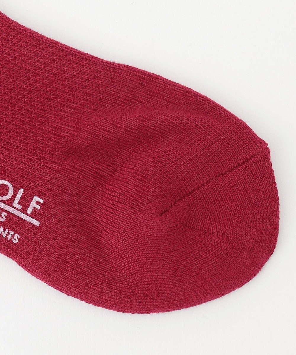 23区GOLF 【WOMEN】ロゴハイソックス 