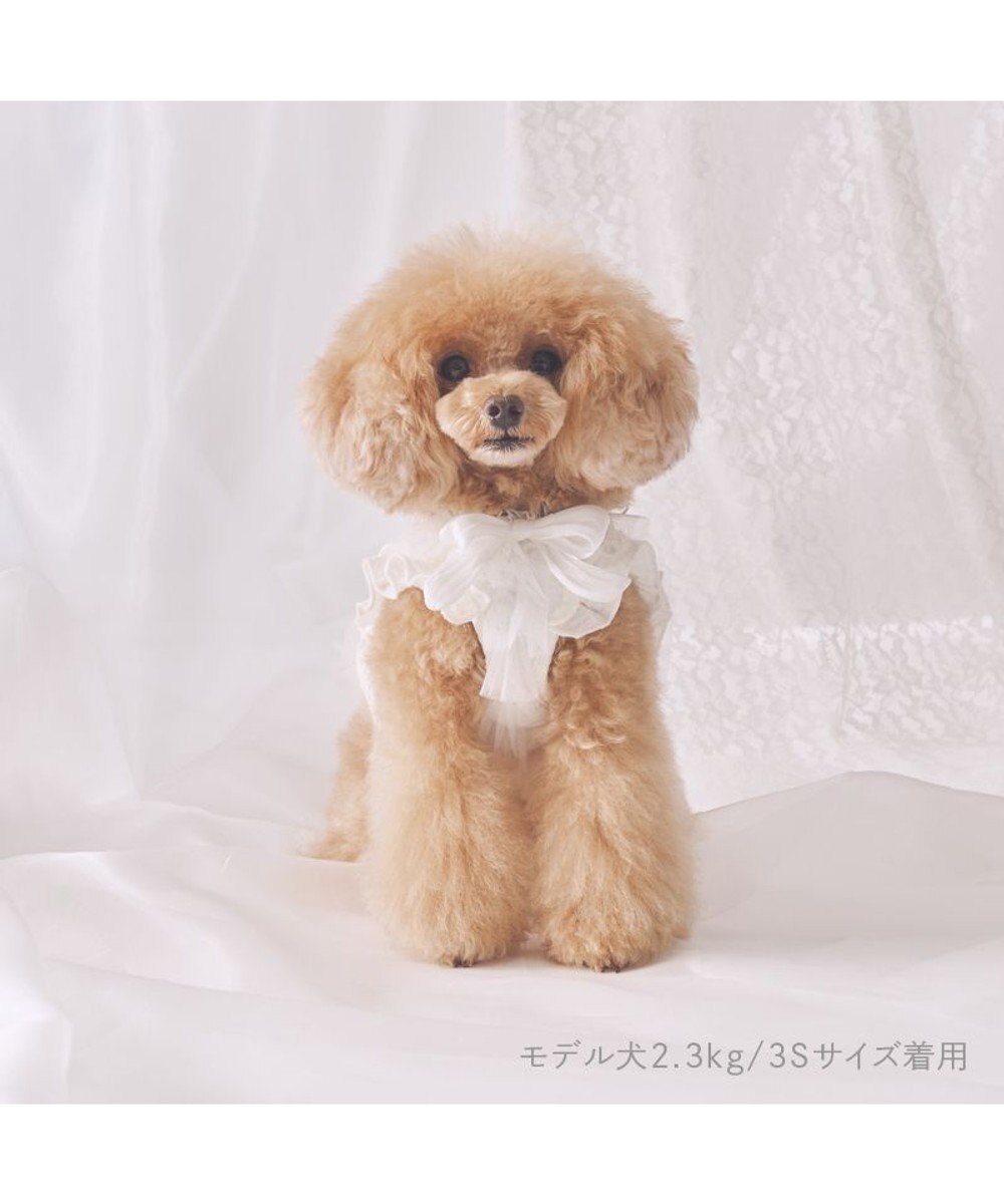 PET PARADISE cherircouture フリフリハーネス 《ホワイト》 小型犬 Ｓ 
