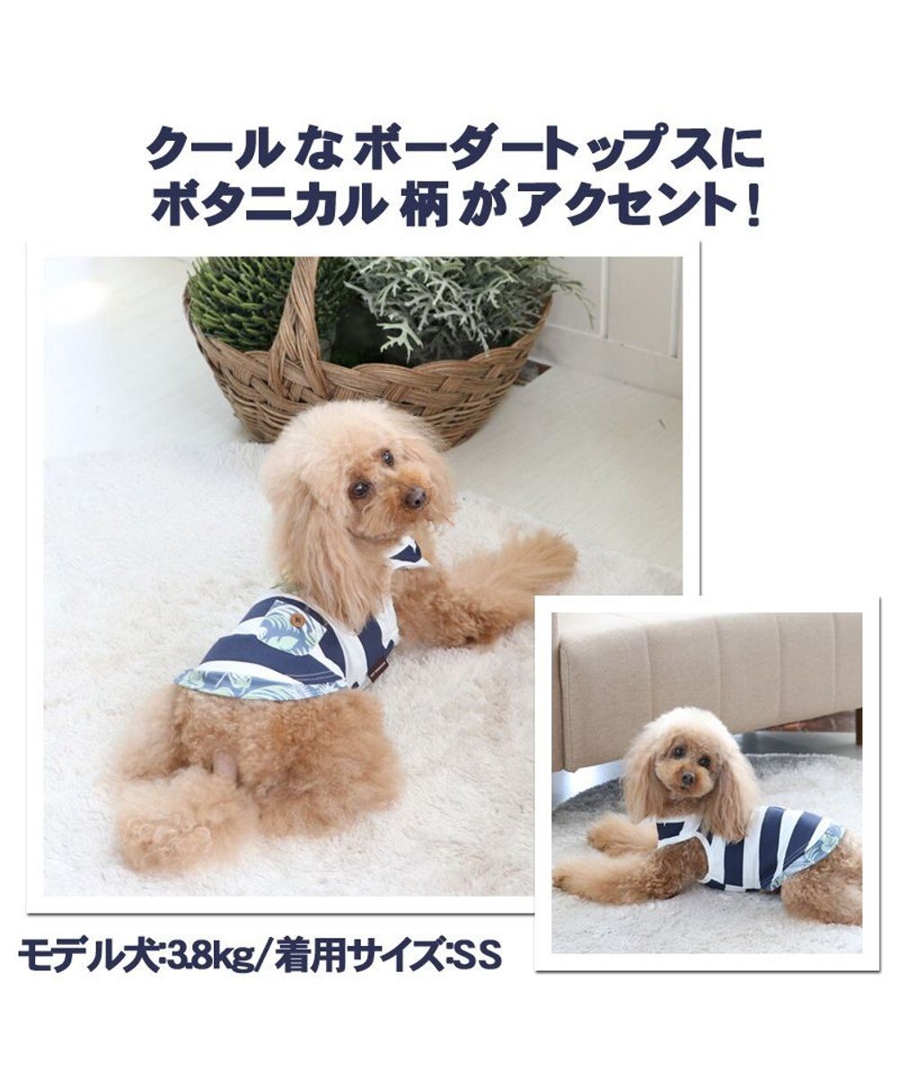 犬服 犬 服 ペットパラダイス ボーダータンク タンクトップ クールマックス 〔小型犬〕, 紺（ネイビー・インディゴ）, ４Ｓ