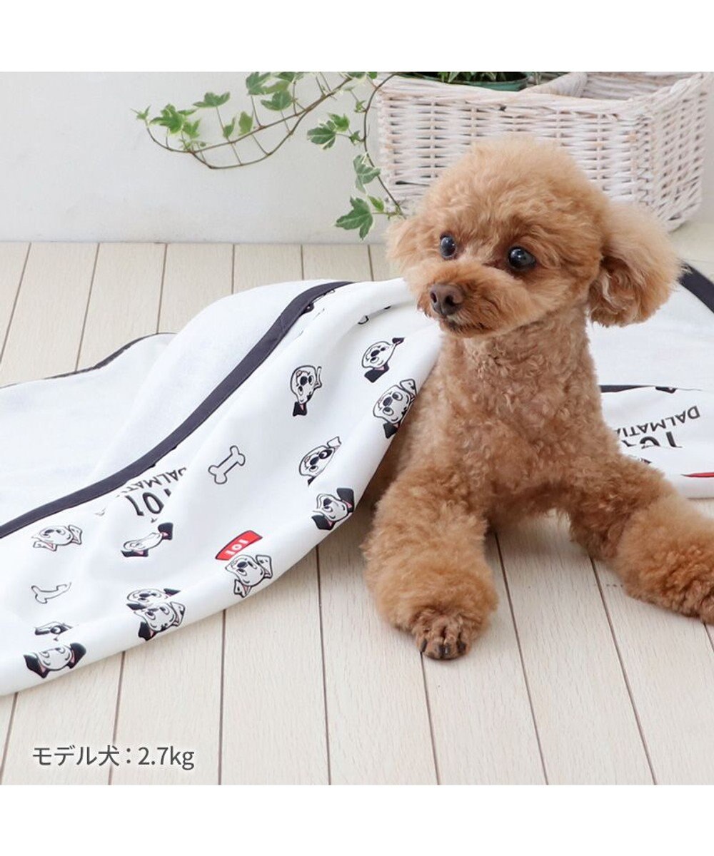 PET PARADISE ディズニー 101匹わんちゃん クールケット 小型犬 