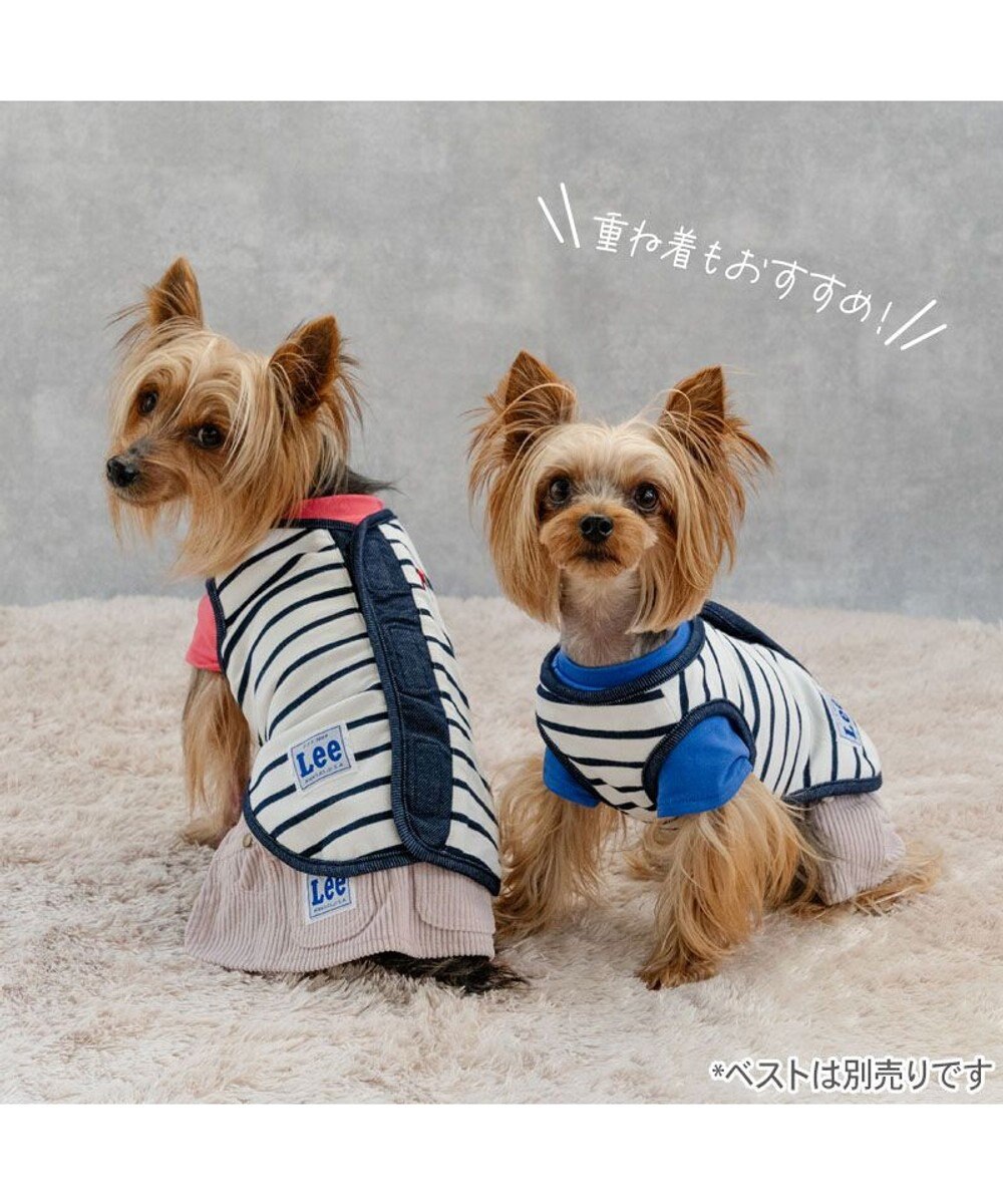 PET PARADISE Lee ワンショルダー パンツつなぎ 《ブルー》 小型犬 