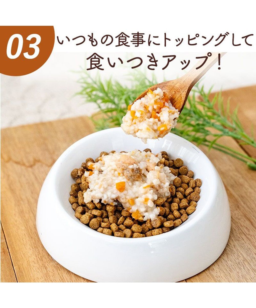 PET PARADISE 愛犬にやさしい スープごはん 鮭 