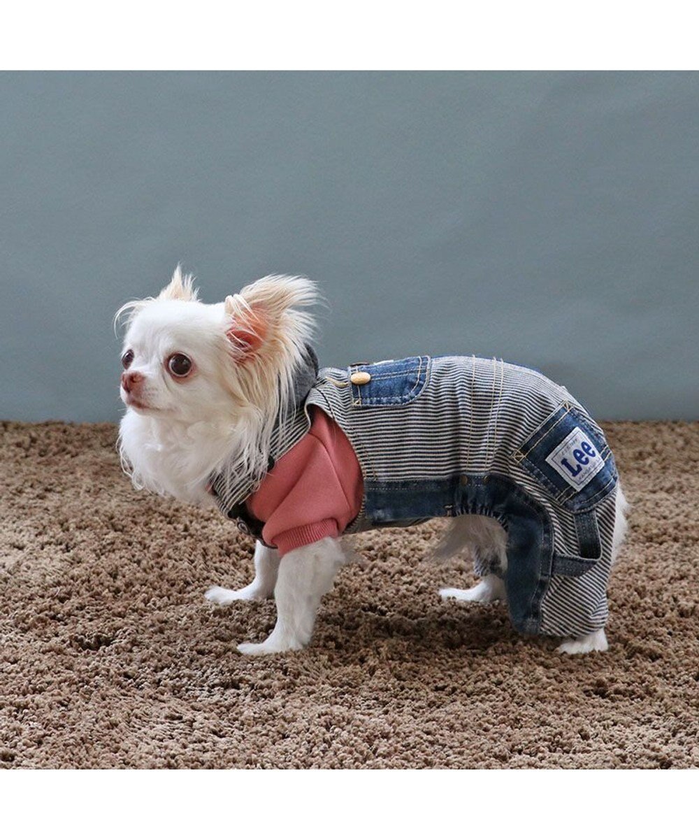 PET PARADISE Ｌｅｅ パッチワーク オーバーオール パンツつなぎ【小型犬】 