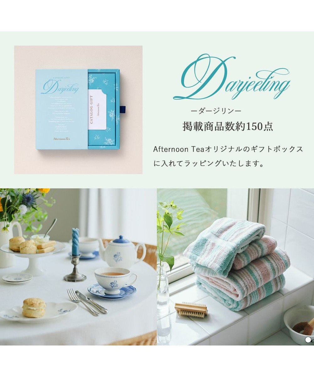 antina gift studio Afternoon Tea CATALOG GIFT Darjeeling（ダージリン） 