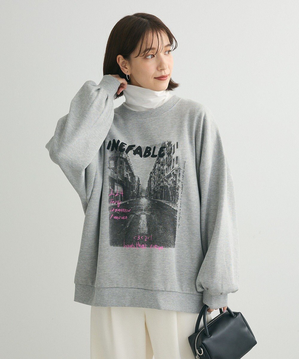 Green Parks ・ＤＯＵＢＬＥ　ＦＬＡＧＳ　フォトｐｔスウェット 