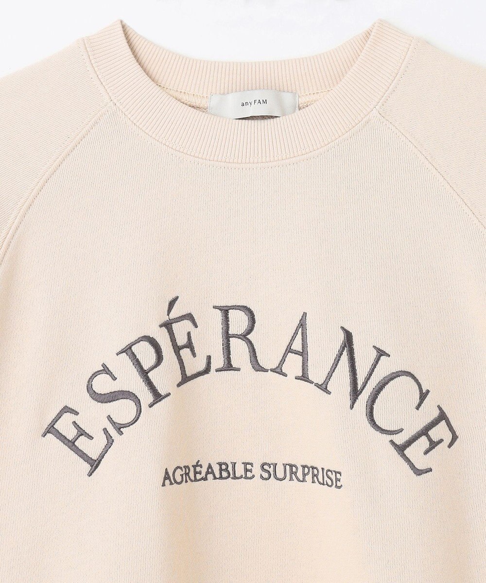 ANY 【洗濯機可】裏毛ロゴスウェット 