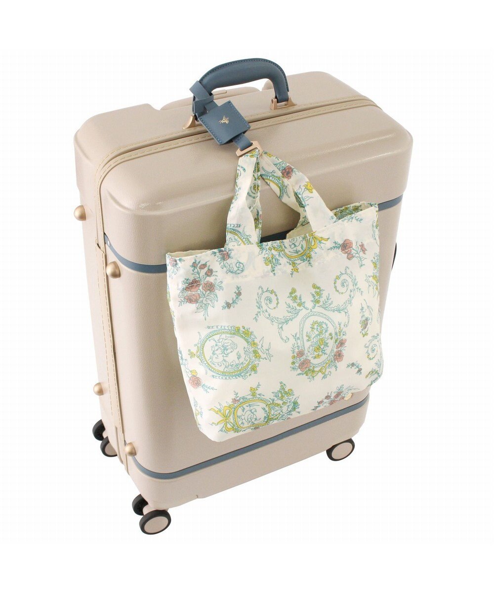 ACE BAGS & LUGGAGE HaNT ノートル  06882 スーツケース 50リットル ハント 