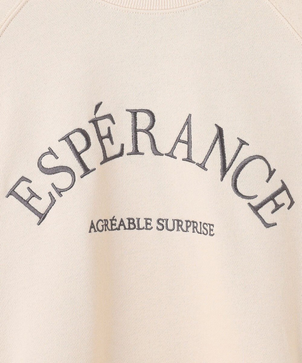 ANY 【洗濯機可】裏毛ロゴスウェット 