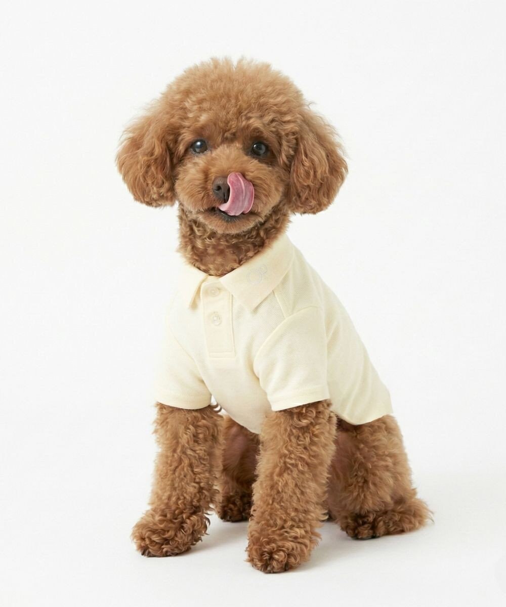 OP／FILA 【Ocean Pacific】ポロシャツ風ドッグウェア ペットウェア 