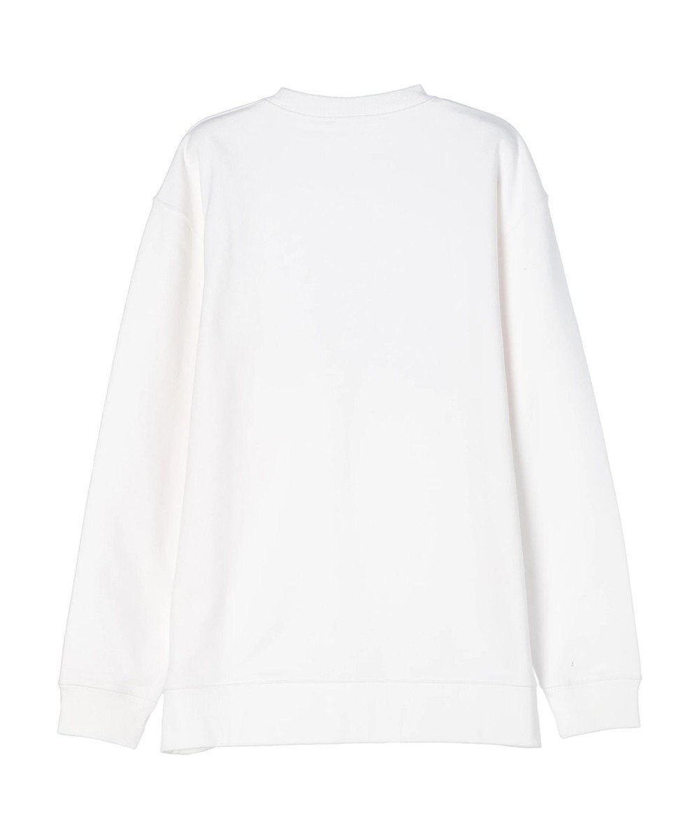 Green Parks ■ＰＵＬＰ　ＦＩＣＴＩＯＮ　フォトｐｔスウェット 