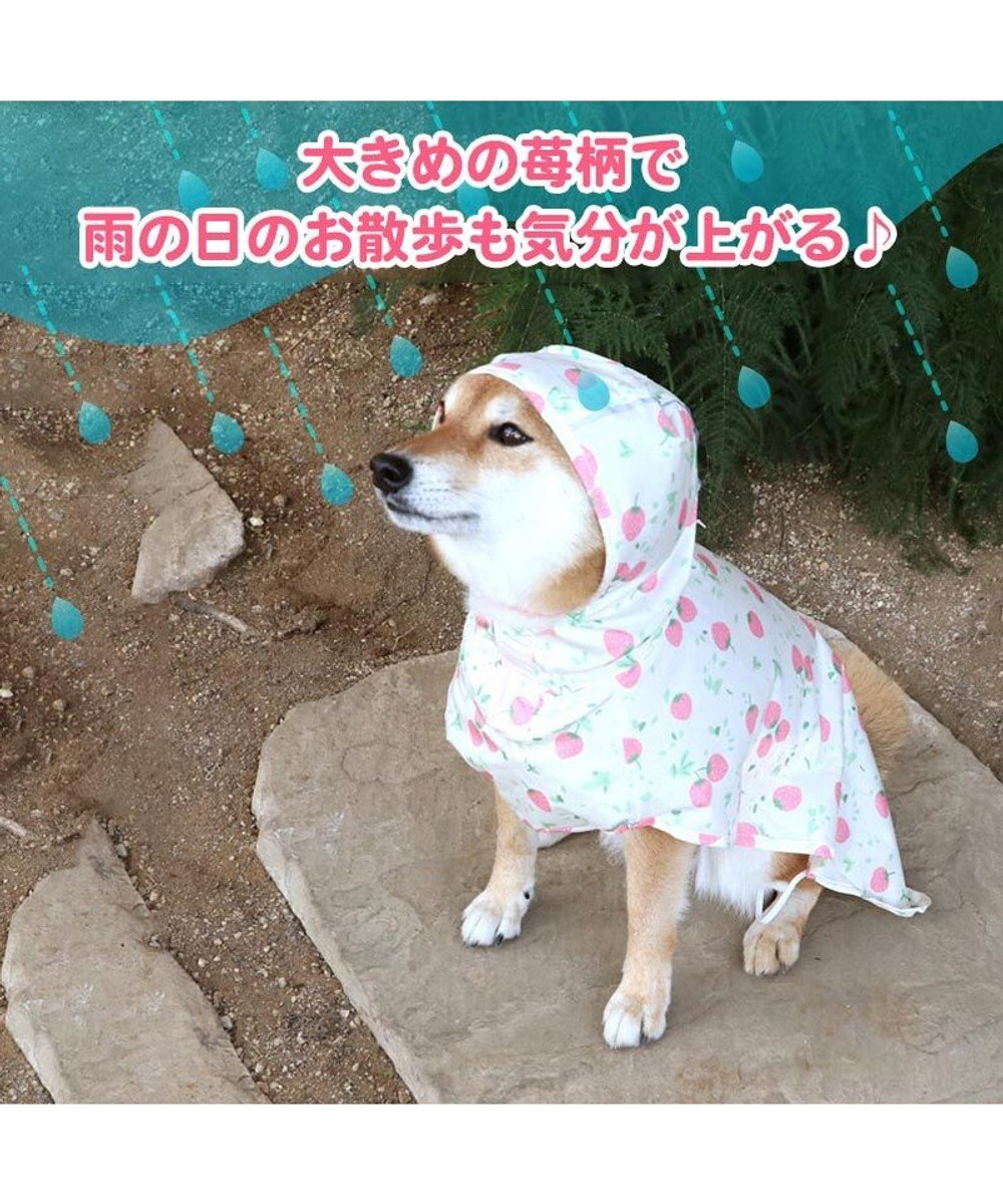 犬 レインコート 苺柄 レインマント 中型犬 大型犬 ドッグウエア ドッグウェア イヌ おしゃれ かわいい梅雨対策 撥水 アウター 雨 雨の日 Pet Paradise ファッション通販 公式通販 オンワード クローゼット 犬 レインコート 苺柄 レインマント 中型犬 大型犬 ドッグウエア ドッグウェア イヌ おしゃれ かわいい梅雨対策 撥水 アウター 雨 雨の日 Pet Paradise ファッション通販 公式通販 オンワード クローゼット