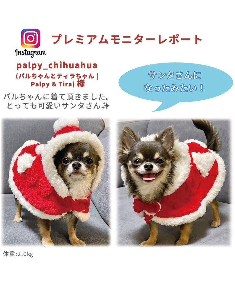 犬 服 秋冬 クリスマス ポンチョ 【小型犬】 サンタ, 赤, ４Ｓ