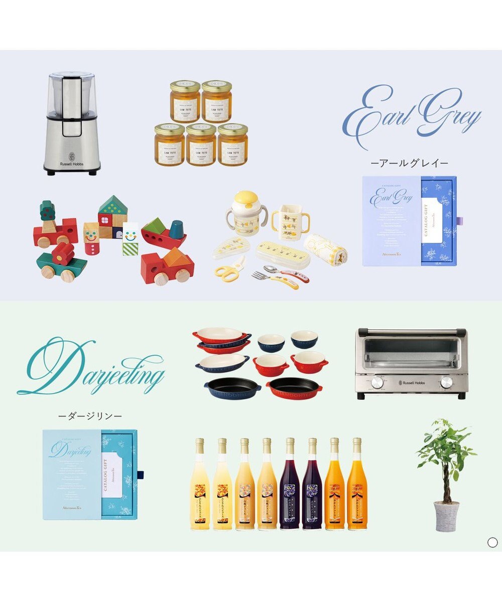 antina gift studio Afternoon Tea CATALOG GIFT Darjeeling（ダージリン） 