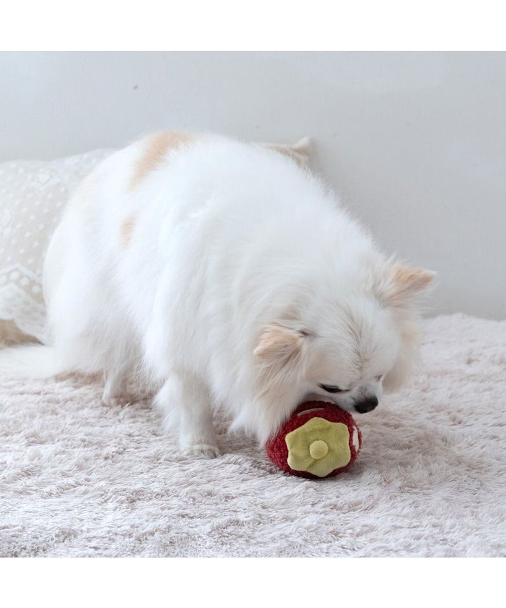 PET PARADISE ペットパラダイス ふわころトイ 《いちご  レッド》 小型犬 