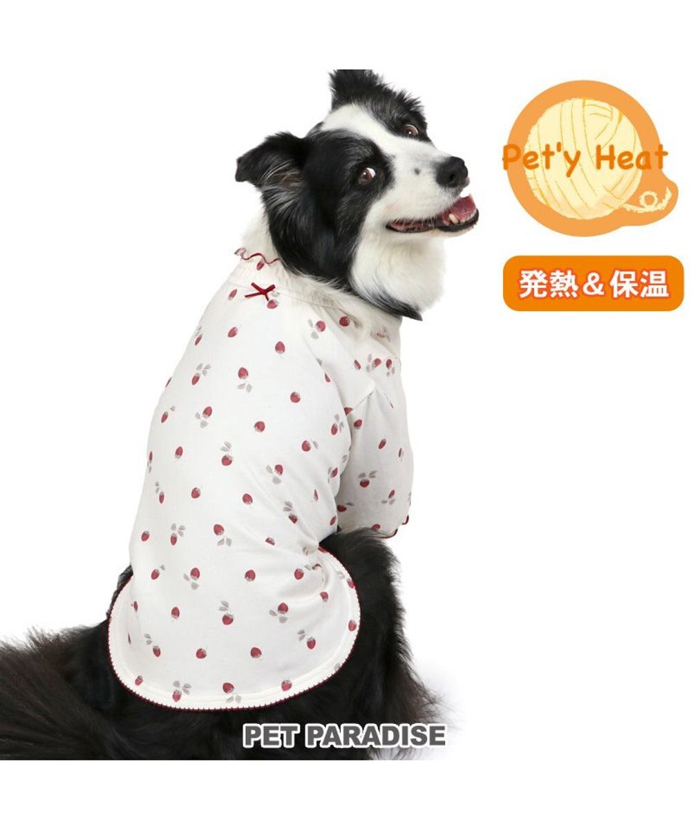 PET PARADISE ペットパラダイス ペティヒート Tシャツ 《苺柄》 中型犬 大型犬 苺柄