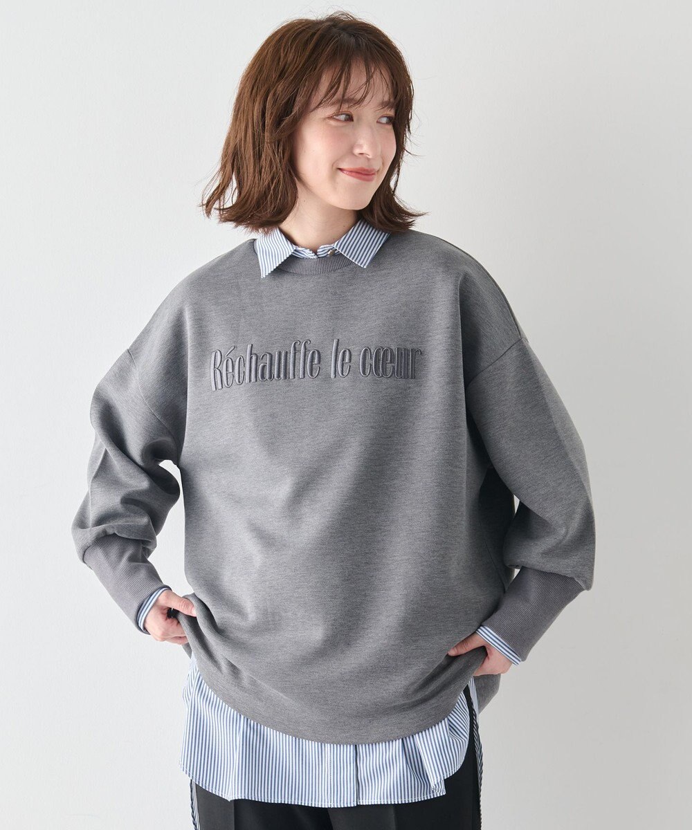 ANY L 【洗濯機可】エンブロイダリーロゴダンボールプルオーバー 