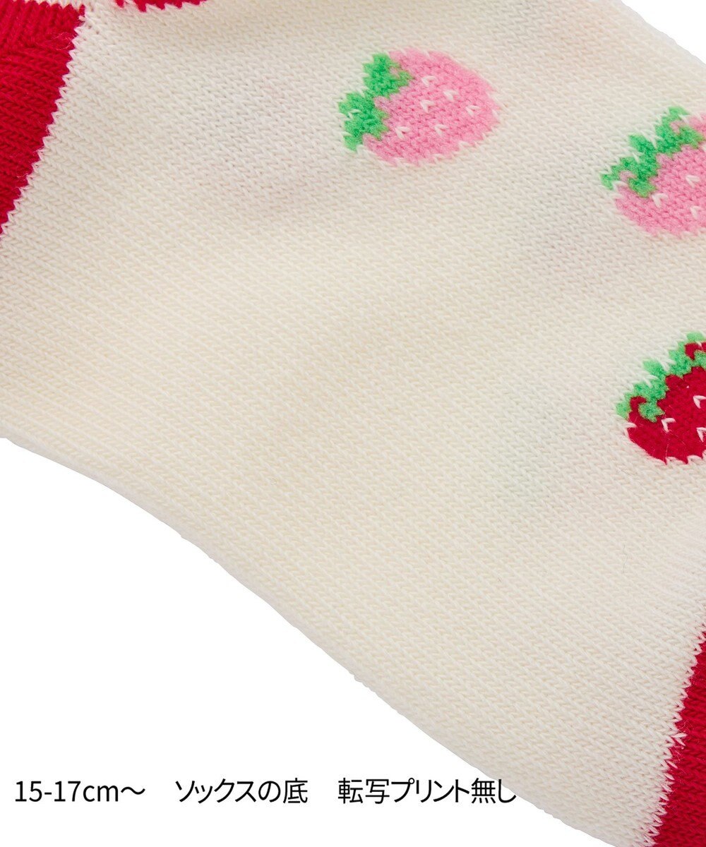 MIKI HOUSE HOT BISCUITS 【11-19cm】クルー丈 ソックスパック2足セット 