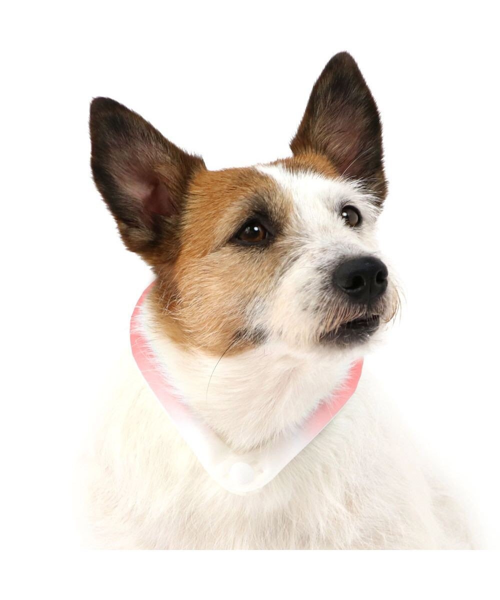犬 ひんやり 28 s 小型犬 ネッククーラー 繰り返し 何度も使える ネック クール 冷感 お散歩 アイシング 首もと冷却 暑さ対策 熱中症対策 夏 ひんやり バンダナ 首掛け 涼感 冷却 ひえひえ ボタン付き ブルー ピンク Pet Paradise ファッション通販 公式通販 犬 ひんやり 28 s 小型犬 ネッククーラー 繰り返し 何度も使える ネック クール 冷感 お散歩 アイシング 首もと冷却 暑さ対策 熱中症対策 夏 ひんやり バンダナ 首掛け 涼感 冷却 ひえひえ ボタン付き ブルー ピンク Pet Paradise ファッション通販 公式通販