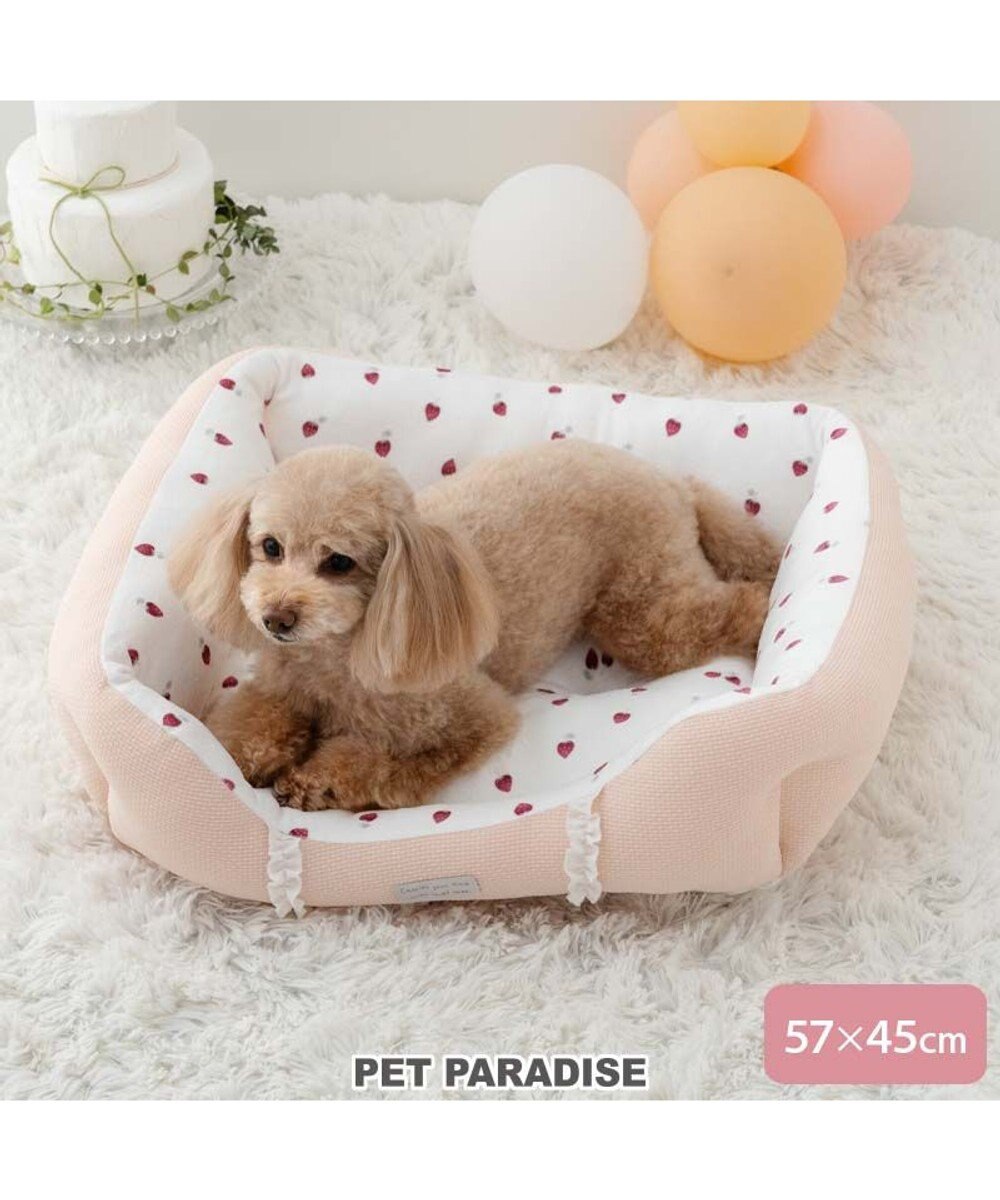 PET PARADISE ペットパラダイス いちご フリルカドラー  Ｍ 57×45cm 