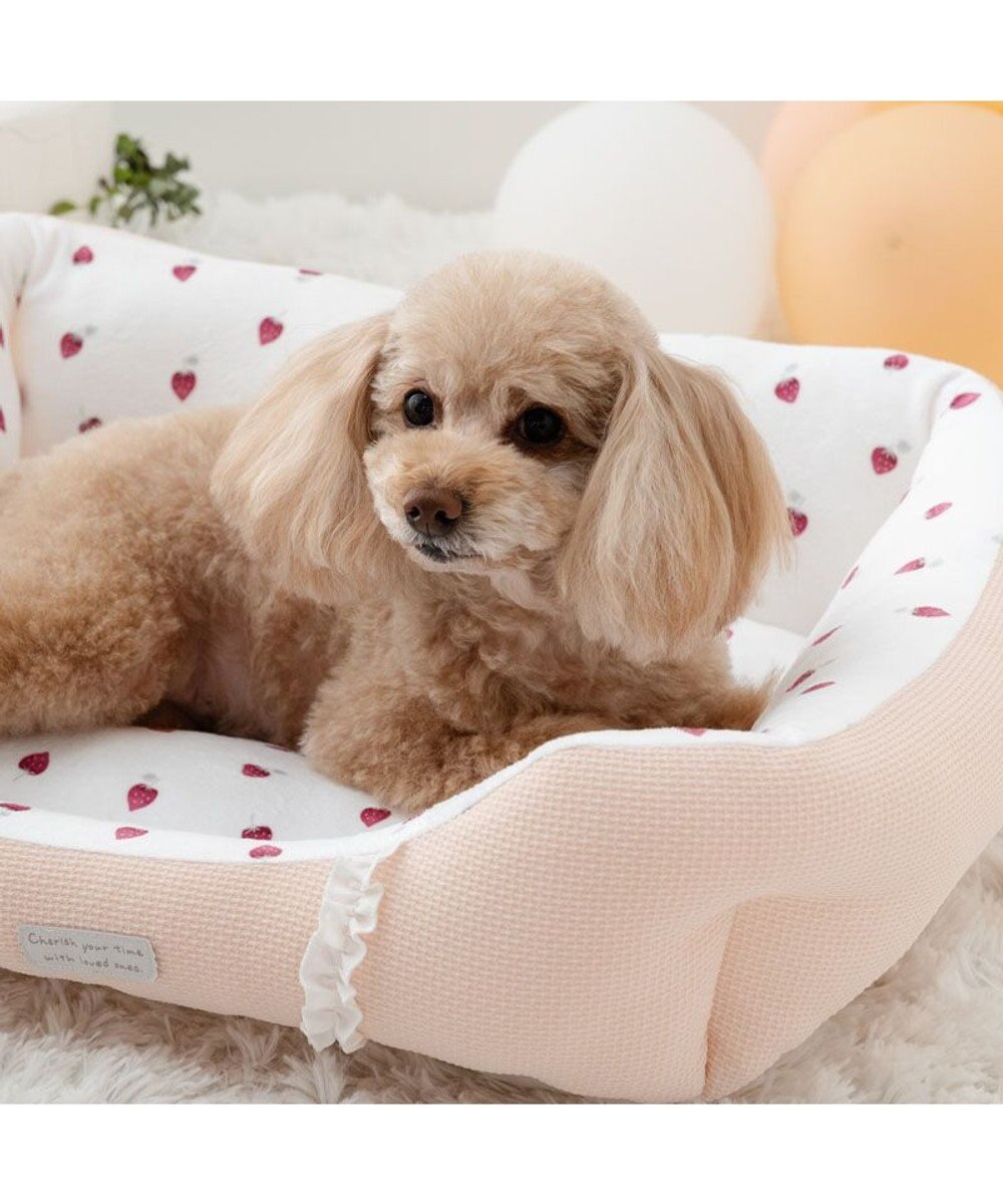PET PARADISE ペットパラダイス いちご フリルカドラー  Ｍ 57×45cm 
