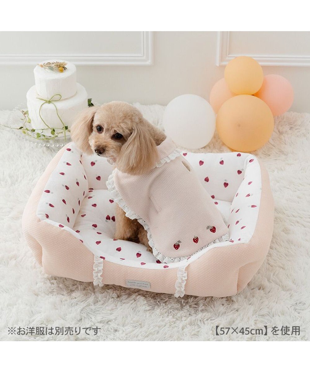 PET PARADISE ペットパラダイス いちご フリルカドラー  Ｍ 57×45cm 