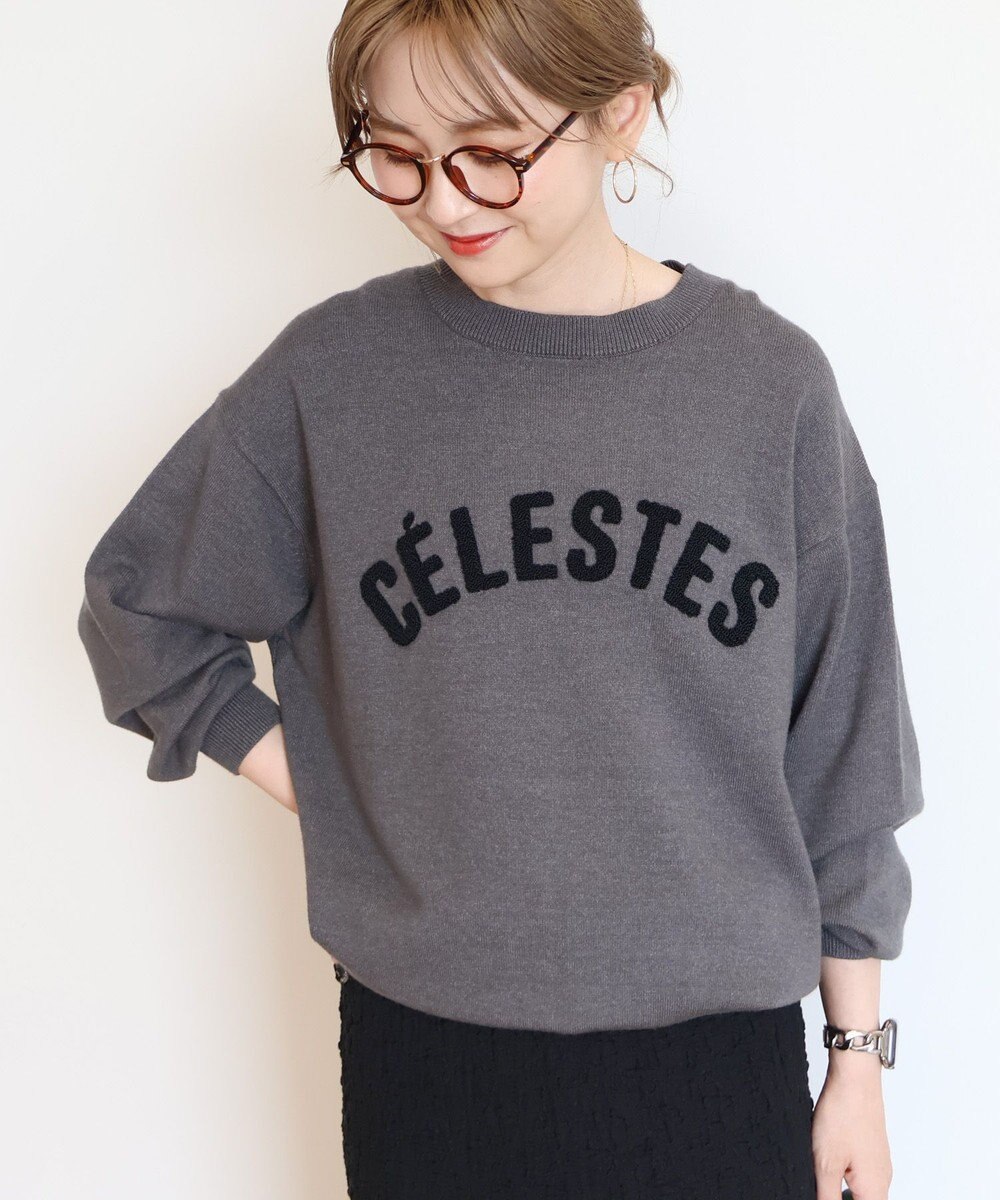 AMERICAN HOLIC バイパチＣＥＲＥＳＴＥＳロゴニットプルオーバー 