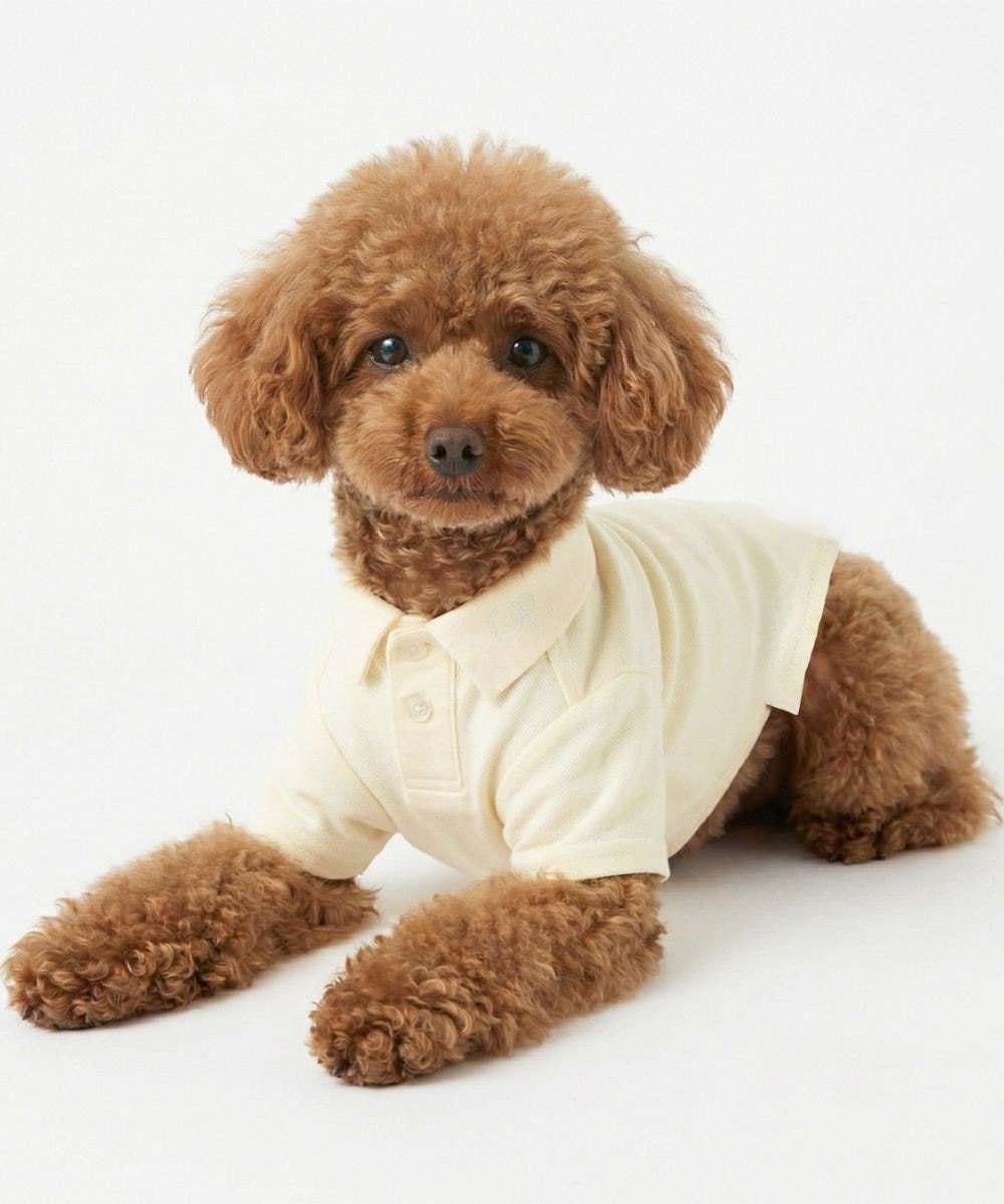 OP／FILA 【Ocean Pacific】ポロシャツ風ドッグウェア ペットウェア 