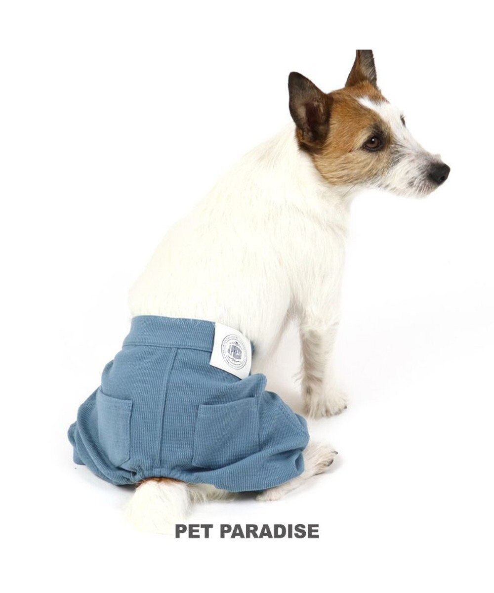 PET PARADISE 犬 服 夏服 J.PRESS パンツ 〔小型犬〕 ワッフル ボトムス ズボン ペットウエア ペットウェア ドッグウエア ドッグウェア ベビー 超小型犬 小型犬 青