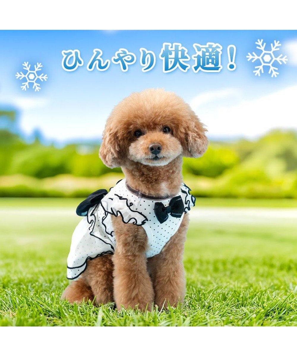 PET PARADISE ディズニー ミニーマウス クール ワンピース 《ドット柄》 小型犬 