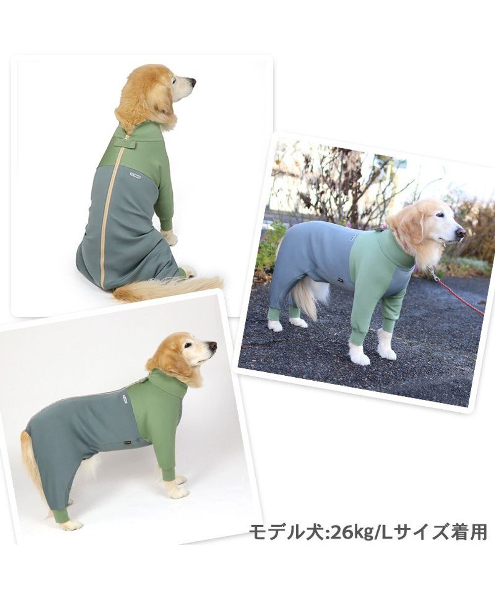 犬服  中型犬　ペットパラダイス、フルオブビガー、idog