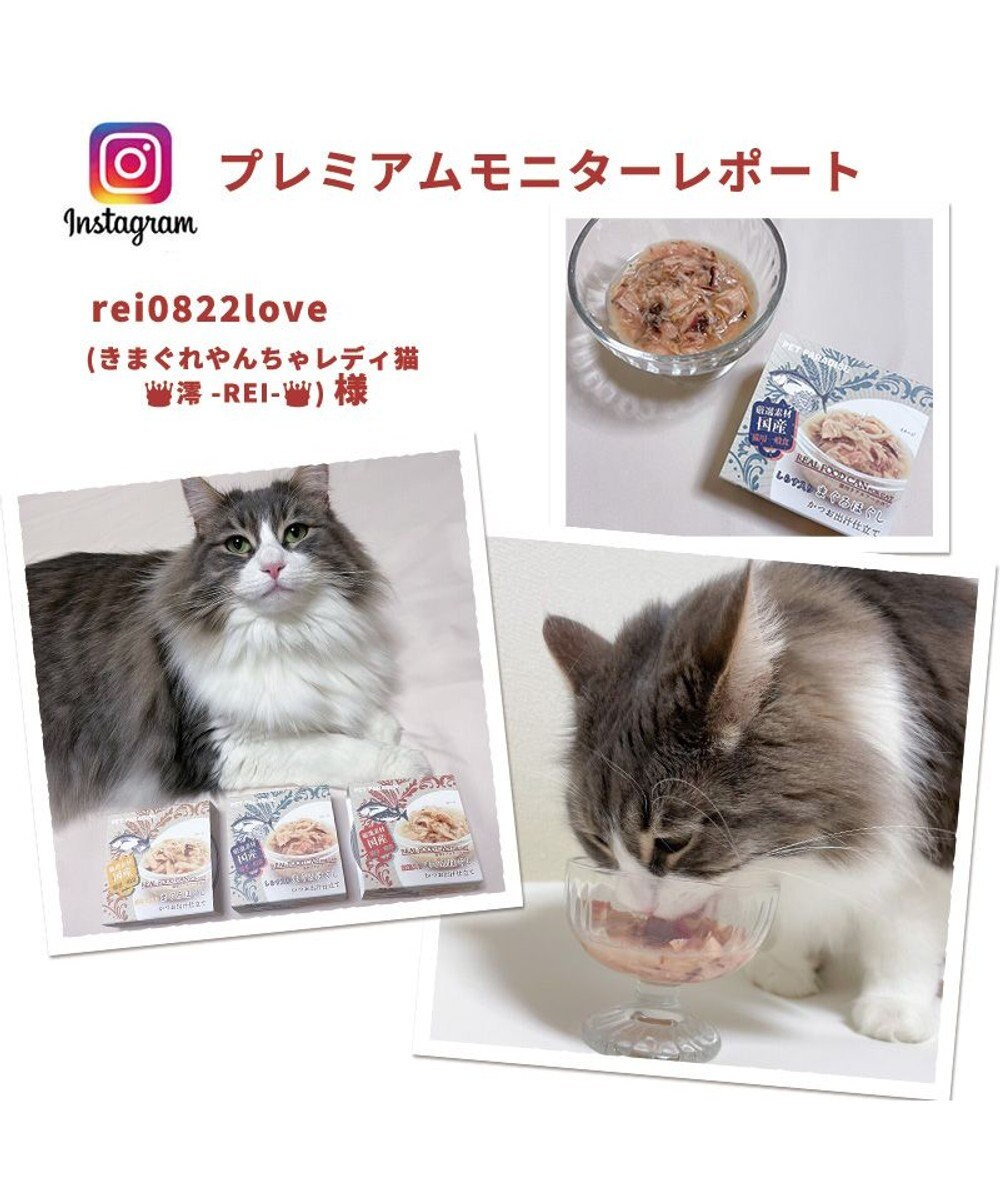 PET PARADISE 【24個セット】 猫缶 まとめ買い キャットフード まぐろほぐし 75g×24  《しらす/ 紅鮭 /ほたて》 
