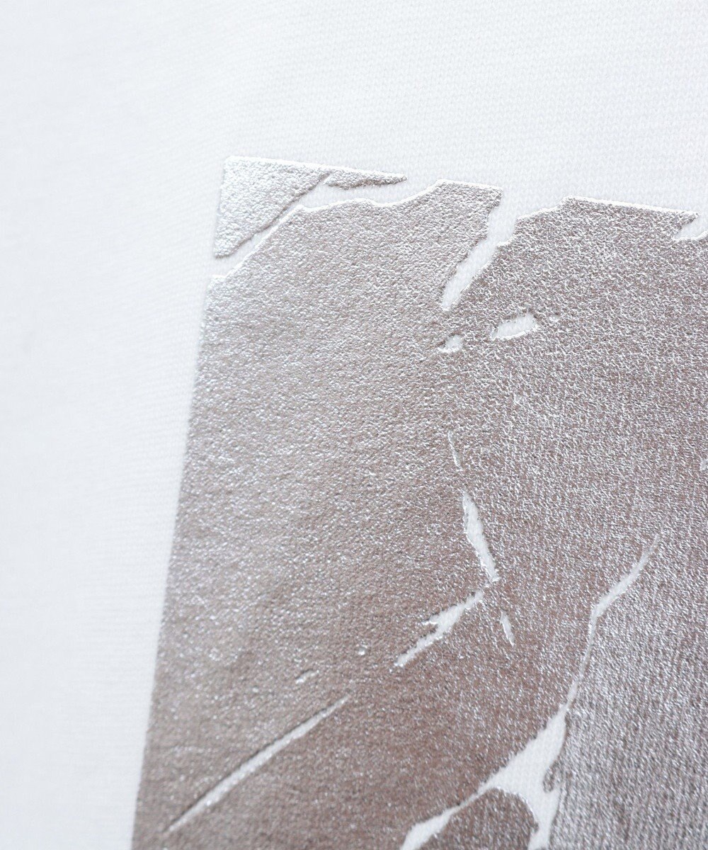 AMERICAN HOLIC ボックスロゴ箔プリントＴシャツ 