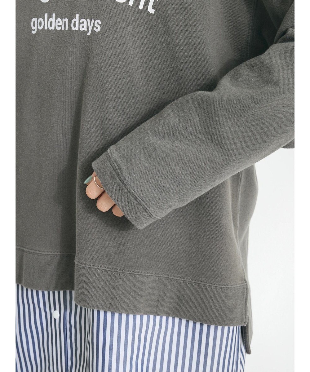 CRAFT STANDARD BOUTIQUE ミニ裏毛パウダー加工ＰＴ　Ｐ／Ｏ　Ｌ／Ｓ 