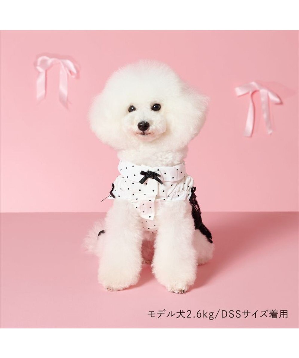 PET PARADISE cherircouture ドットシャツ ワンピース 小型犬 