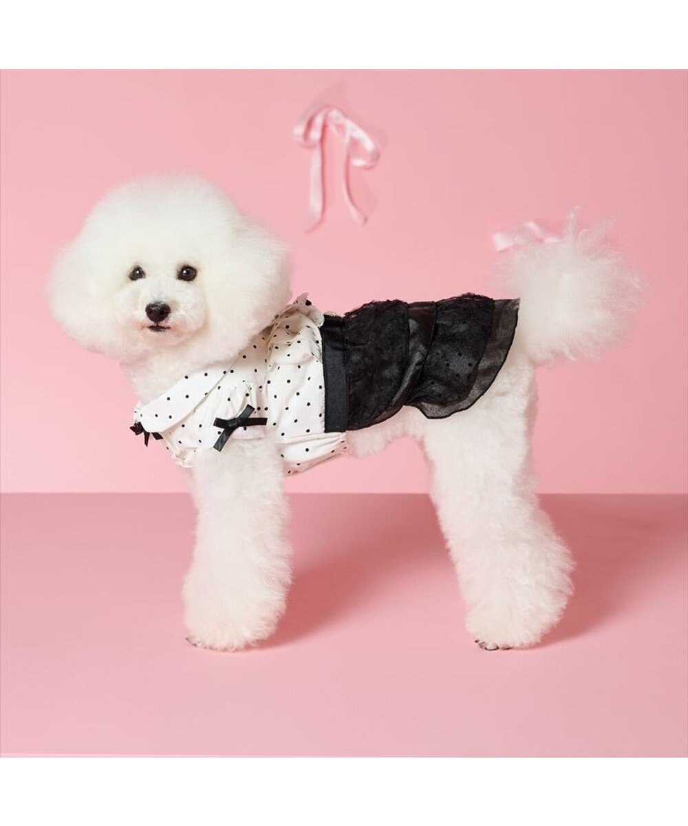 PET PARADISE cherircouture ドットシャツ ワンピース 小型犬 