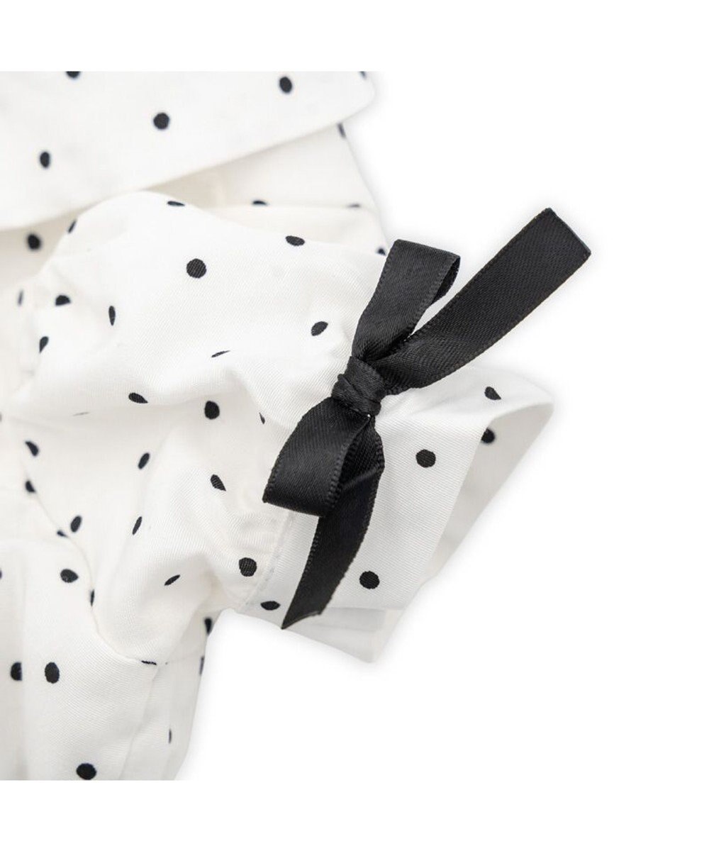 PET PARADISE cherircouture ドットシャツ ワンピース 小型犬 