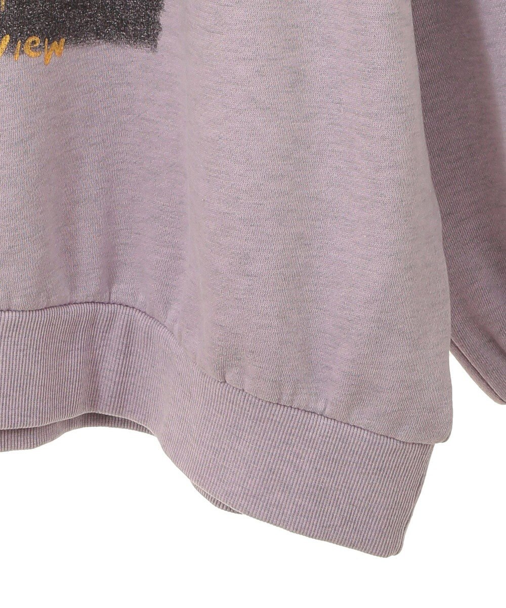 Green Parks ・ＤＯＵＢＬＥ　ＦＬＡＧＳ　フォトｐｔスウェット 