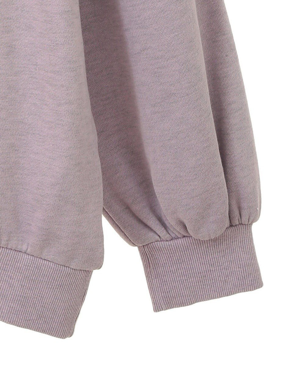 Green Parks ・ＤＯＵＢＬＥ　ＦＬＡＧＳ　フォトｐｔスウェット 