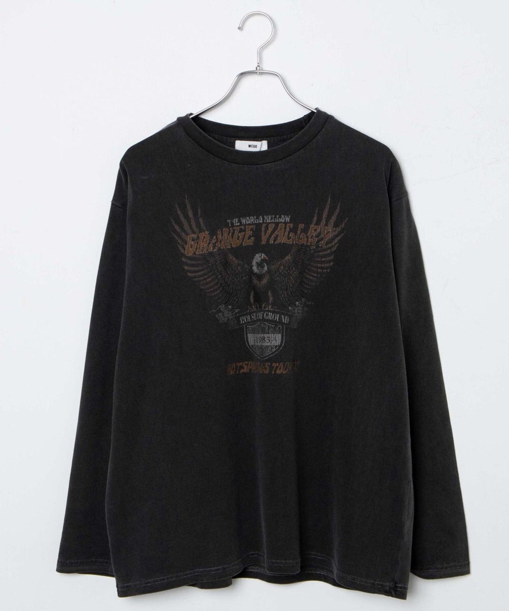 WEGO ピグメントロンT 