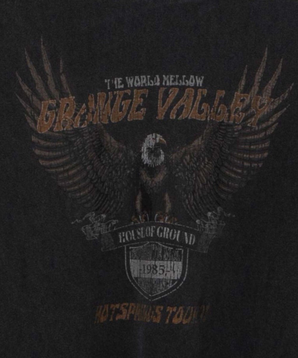 WEGO ピグメントロンT 