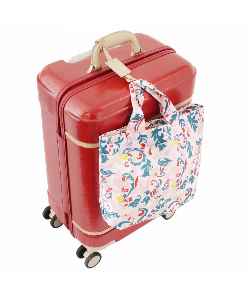 ACE BAGS & LUGGAGE 【雑誌掲載】 HaNT ノートル  機内持ち込み スーツケース 06881 31リットル ハント 