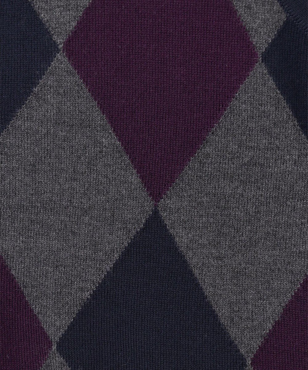 GOTAIRIKU 【家庭洗濯可能】イタリア糸 ハイゲージ ベスト 