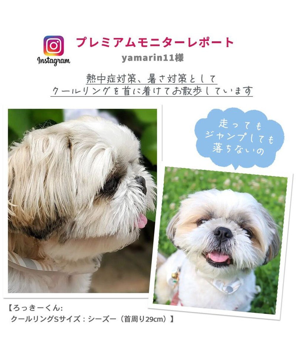 PET PARADISE クールリング 犬 クールネック ひんやり 28℃クールリング 【３Ｓ】 リフレクター 水色 ベージュ  反射材付き 