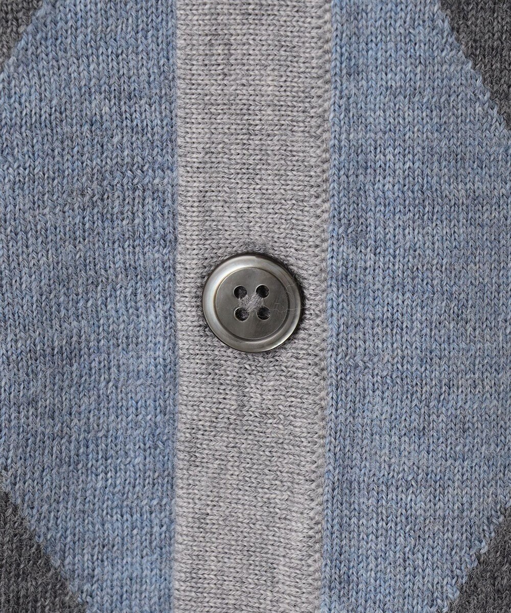 GOTAIRIKU 【家庭洗濯可能】イタリア糸 ハイゲージ ベスト 