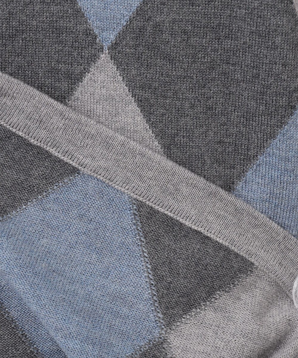 GOTAIRIKU 【家庭洗濯可能】イタリア糸 ハイゲージ ベスト 