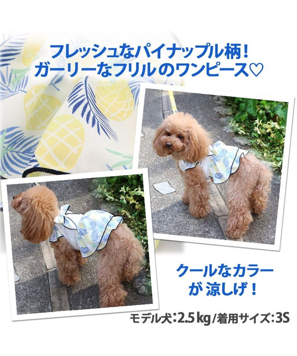 犬服 犬 服 ペットパラダイス クール 接触冷感 パイン柄 ワンピース 小型犬 超小型犬 小型犬 ひんやり 夏 涼感 冷却 吸水速乾 タッチワンクール Pet Paradise ファッション通販 公式通販 オンワード クローゼット