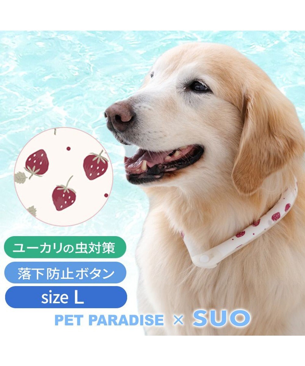 PET PARADISE ペットパラダイス 28℃クールリング  《いちご》 Ｌ 大型犬 