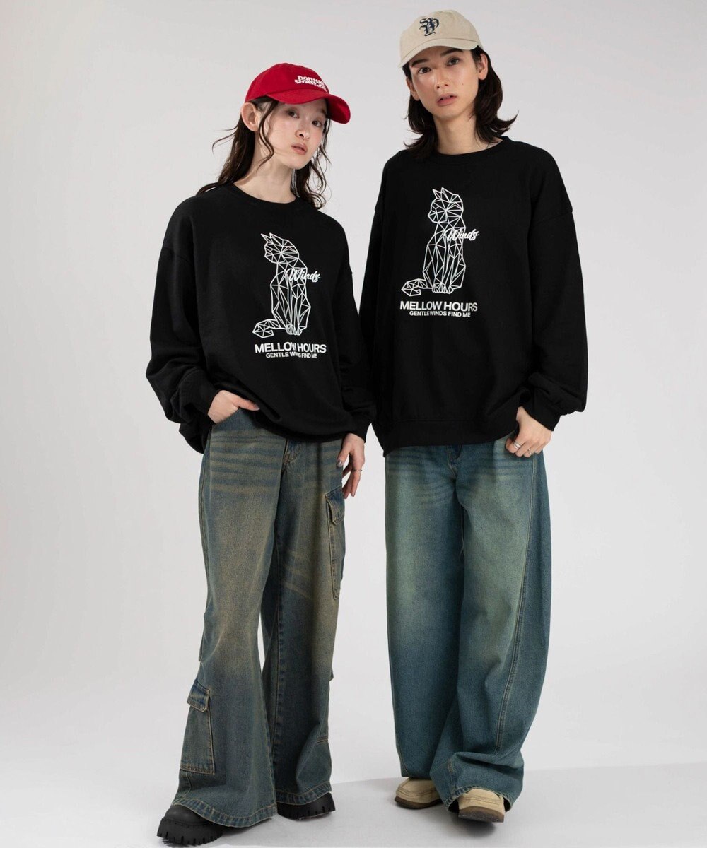 WEGO 【2025年秋冬新作/SMLXLサイズ展開/ユニセックス着用ITEM】アソートグラフィックプルオーバー 